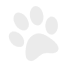 Footstep