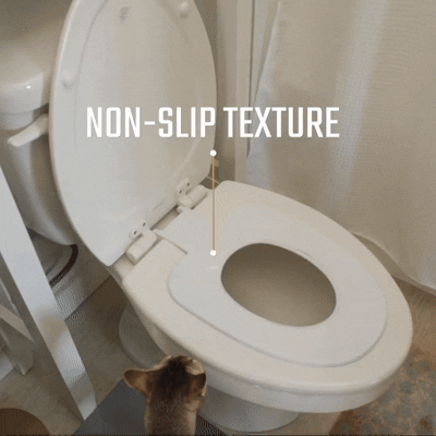 Training GIF
