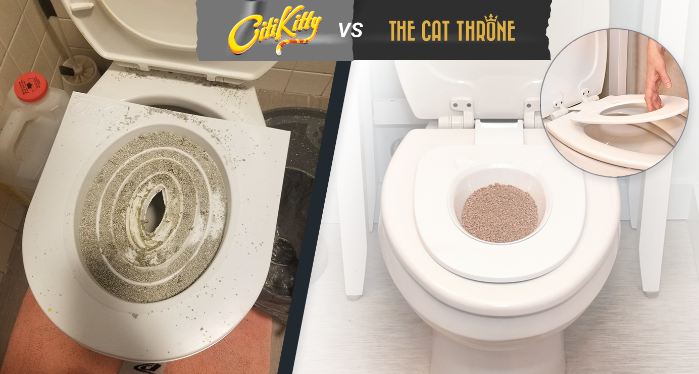 CitiKitty vs Cat Throne