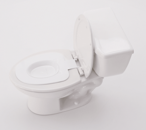What Makes a Cat Toilet Training Seat Safe for Small Cats and Kittens During Toilet Training