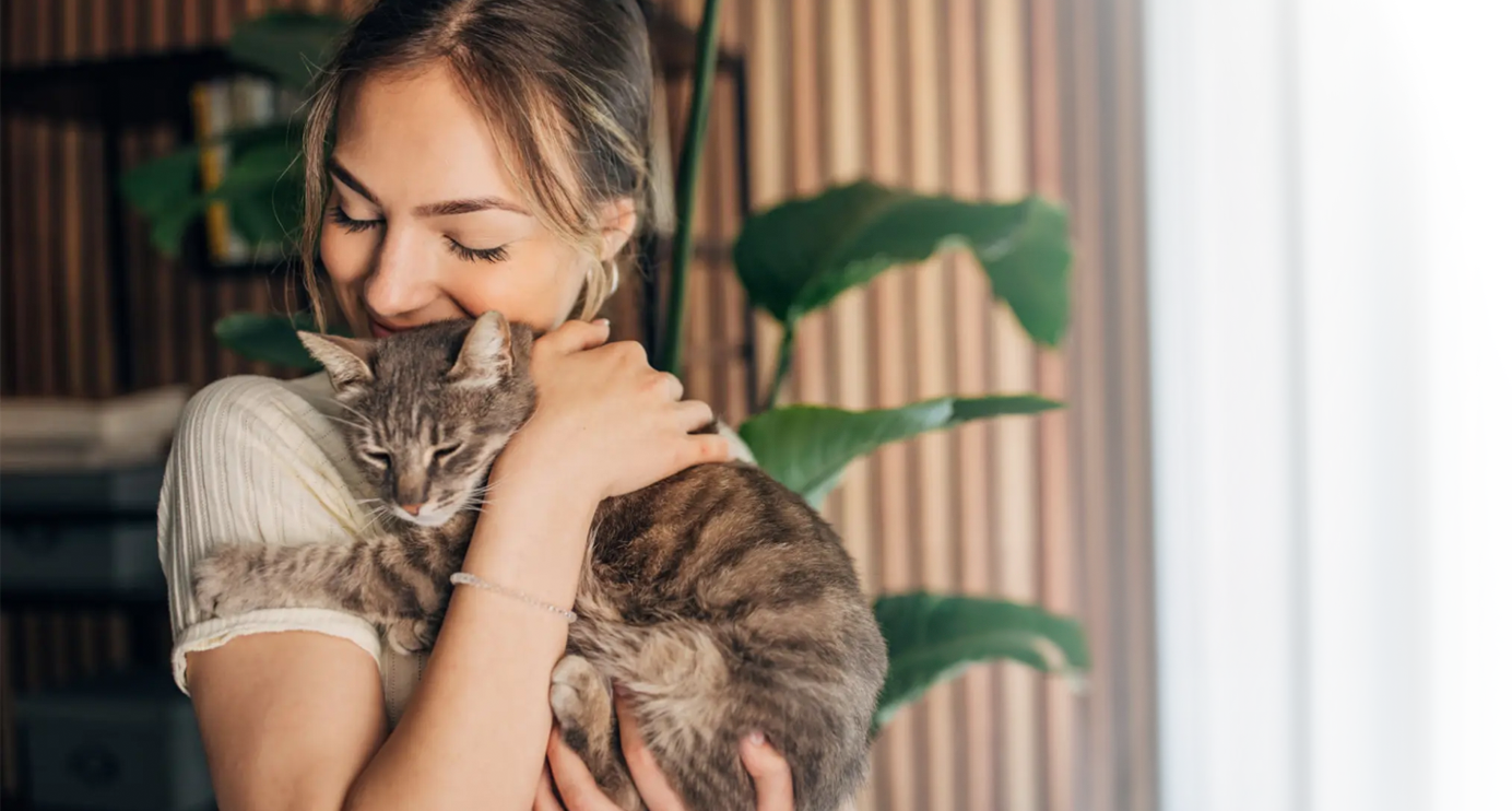 Cat Culture is Changing