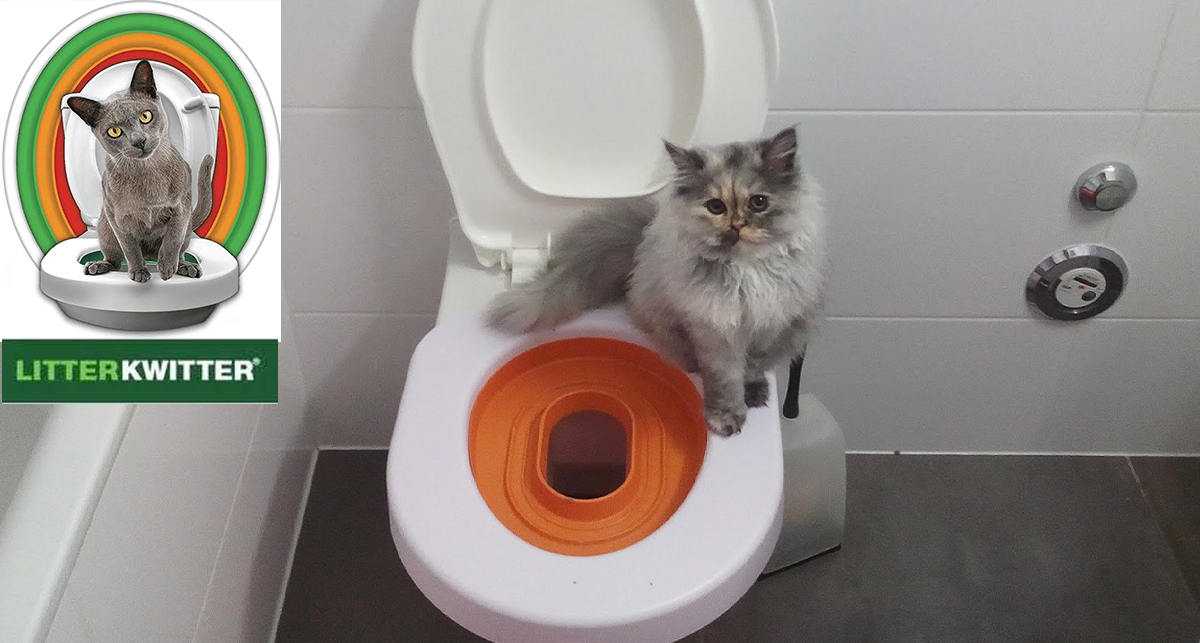 Litter Kwitter Review and Alternatives for Toilet Training