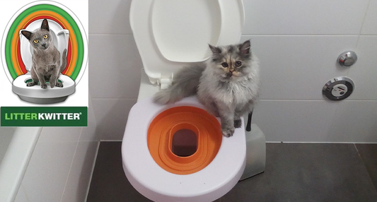 Litter Kwitter cat toilet training reviews