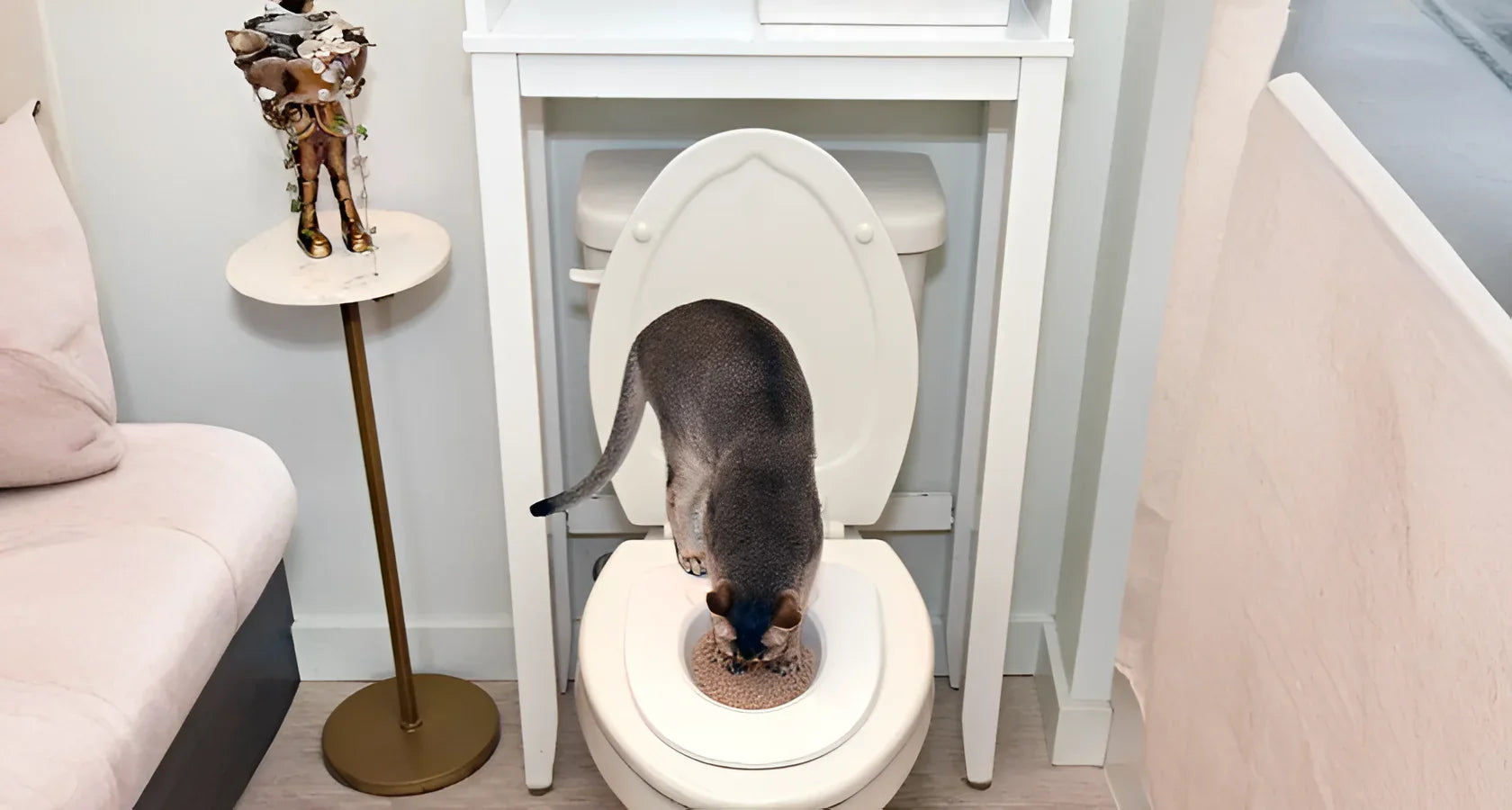 Tired of Litter Box Smell? How Potty Training Kit for Cats Solves It