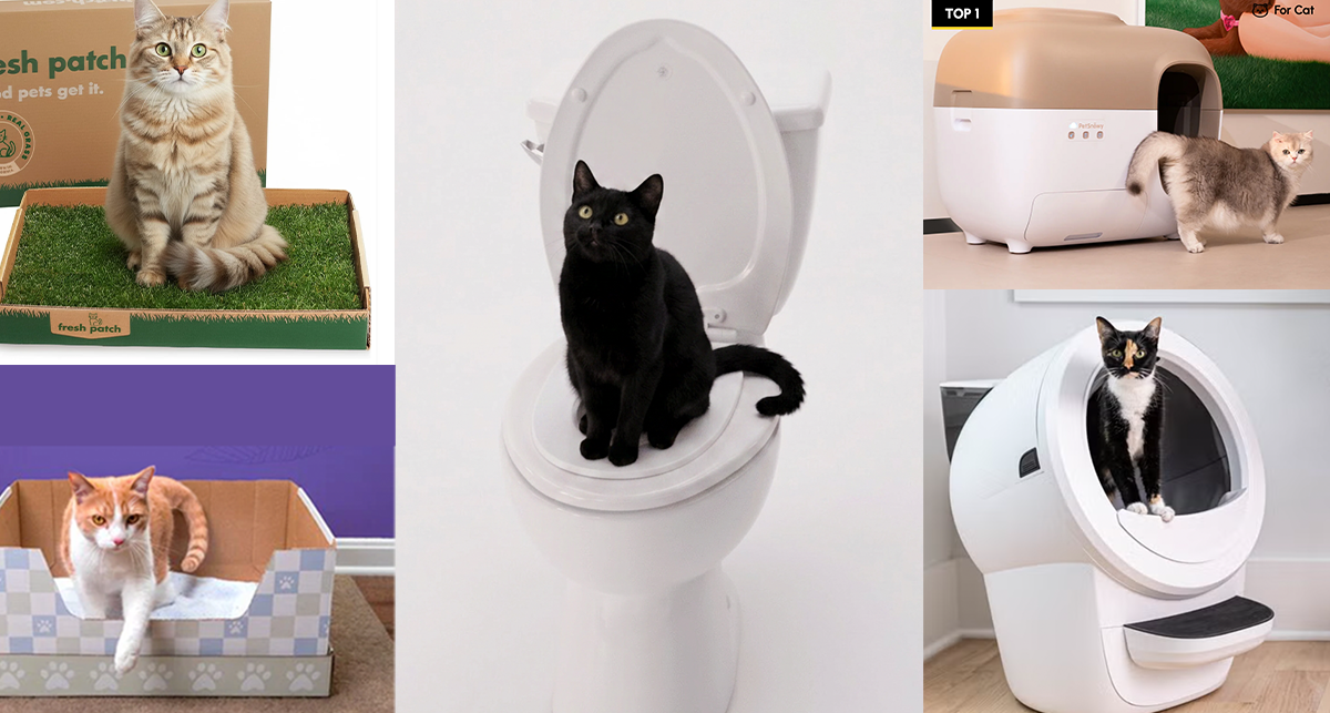 7 Best Litter Box Replacement Ideas