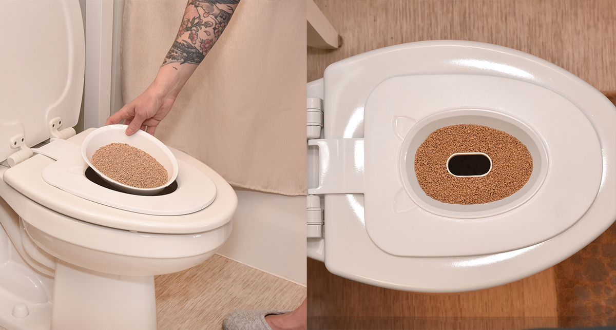 Cat Toilet Tray Stages That Actually Work