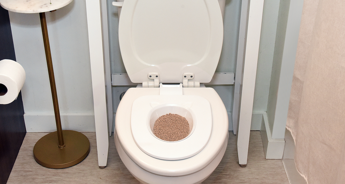 Cat Balance Support Toilet Training That Works