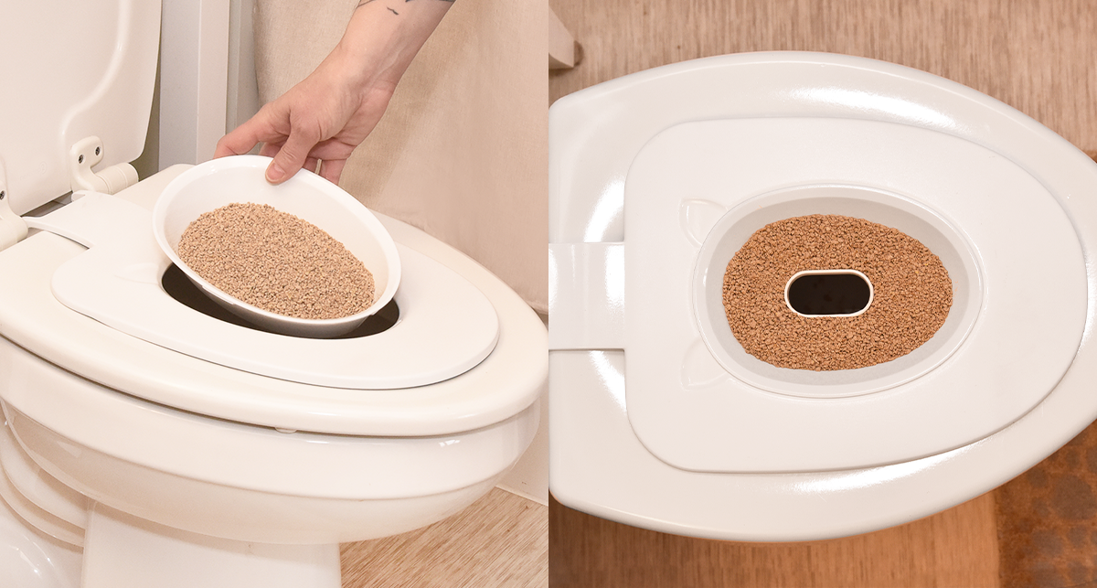 Cat Toilet Tray Stages That Actually Work