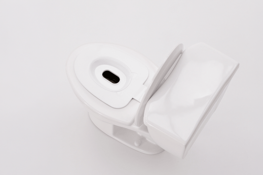 Cat Toilet Seat Review: What Actually Works