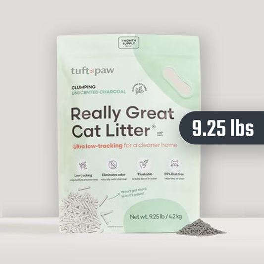 Cat LItter