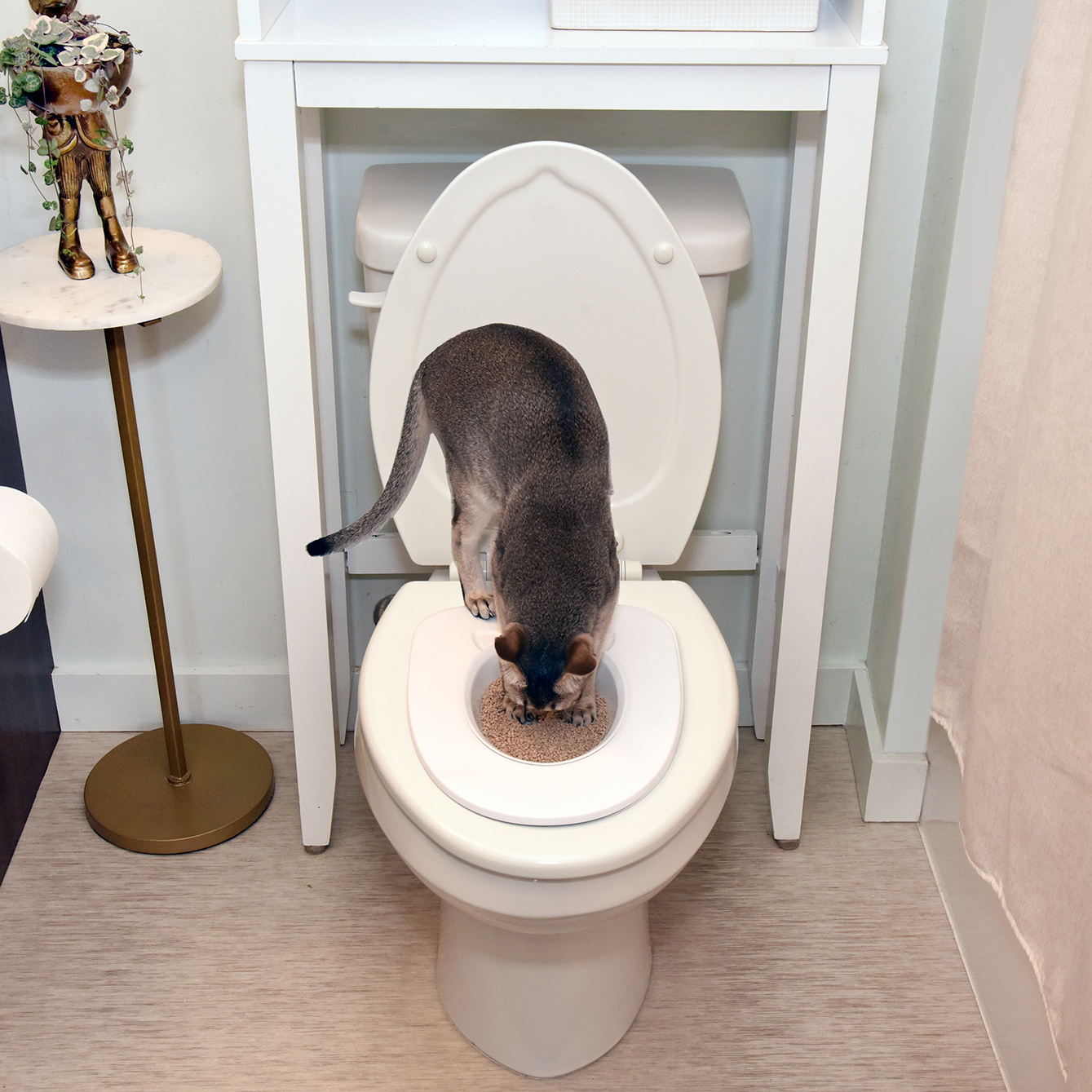 Cat toilet seats hot sale